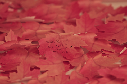 Maple Leaf Sticky Notes [2colors]