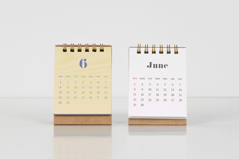 2025 Life & Pieces Mini Desk Calendar