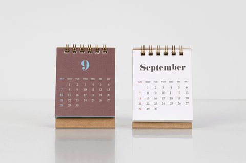 2025 Life & Pieces Mini Desk Calendar