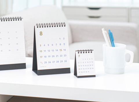 2025 Desk Calendar Mini