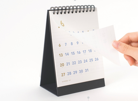 2025 Desk Calendar Mini