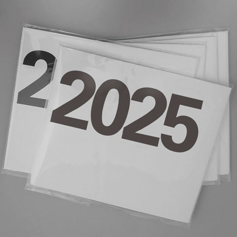 2025 Wall Poster Calendar [3types]