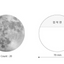 The Moon Memo Pad | Tracing Paper