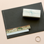 Masking Tape [125 Safari]