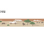 Masking Tape [125 Safari]