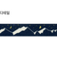 Masking Tape [85 Mountain]