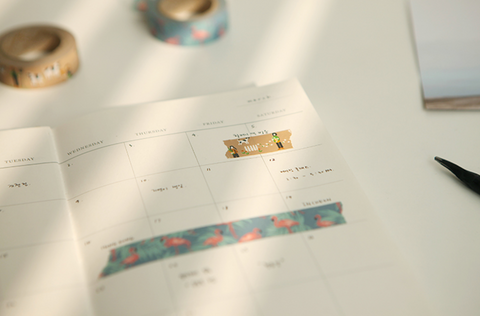 Masking Tape [44 Flamingo]