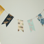 Masking Tape [30 Succulent]