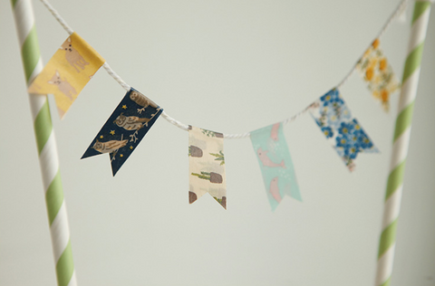 Masking Tape [30 Succulent]