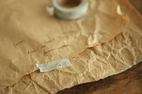 Masking Tape [22 Swan]