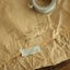 Masking Tape [22 Swan]