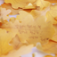 Oak Leaf Sticky Notes L [2colors]