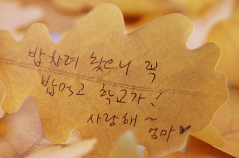 Oak Leaf Sticky Notes L [2colors]