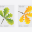 Oak Leaf Sticky Notes L [2colors]