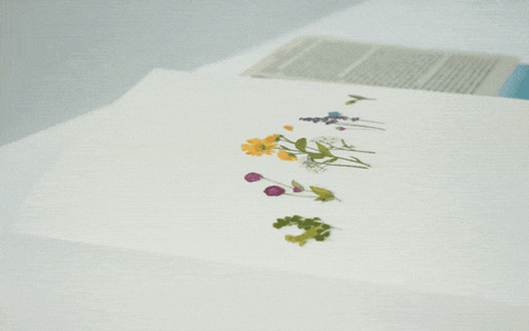 Pressed Flower Sticker [Verbena] | Printed Dried Flower Sticker