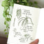 A6 Satin Notebook M80 [3colors] | Grid, Blank Notebook