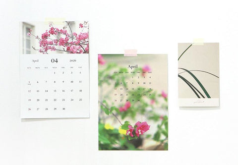 2026 Mind Snap Desk Calendar [2types]
