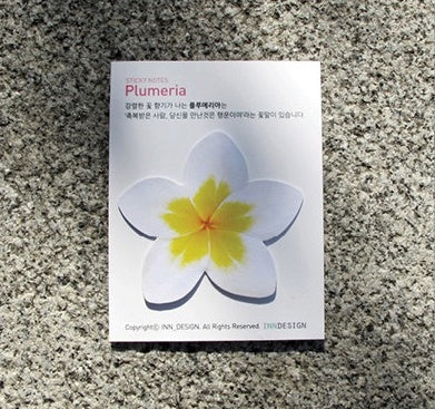 Plumeria Sticky Notes | Flower