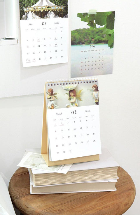2026 Mind Snap Desk Calendar [2types]
