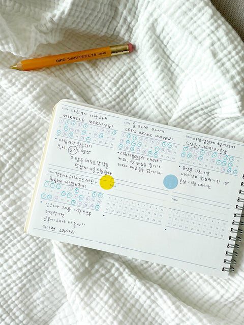 Build Up 365days Daily Planner [5colors] | Daily Time Scheduler