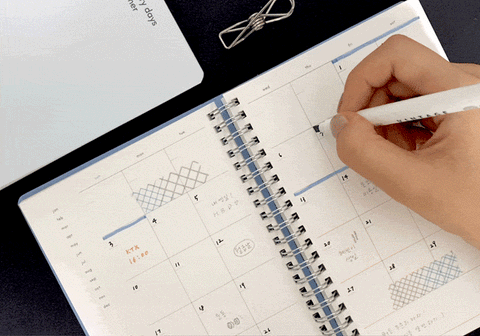Starry, Starry Days Daily Planner [4colors] | Daily Scheduler