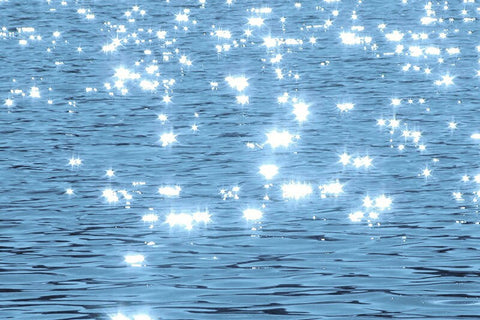 Nature Seal Sticker [Light]