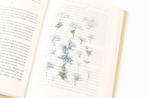 Pressed Flower Sticker [Moss Phlox] | Printed Dried Flower Sticker