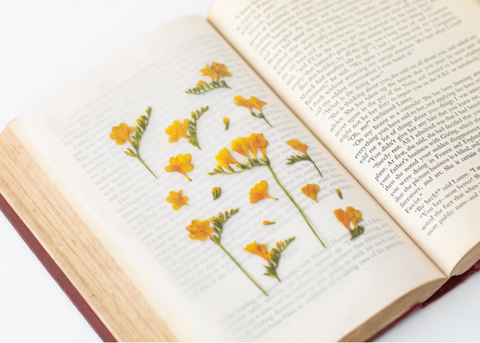 Pressed Flower Sticker [Freesia] | Printed Dried Flower Sticker