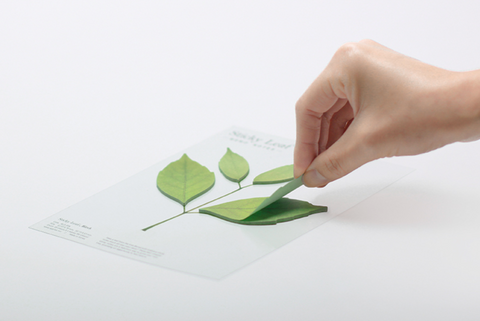 Birch Leaf Sticky Notes L [2colors]