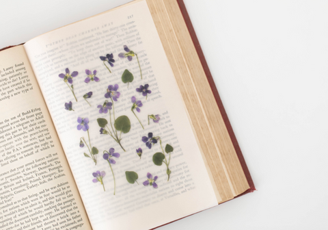 Pressed Flower Sticker [Manchurian Violet] | Printed Dried Flower Sticker