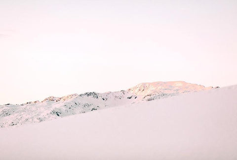 Nature Seal Sticker [Snow]