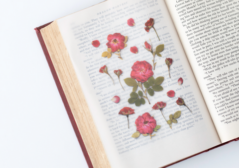 Pressed Flower Sticker [Mini Rose] | Printed Dried Flower Sticker