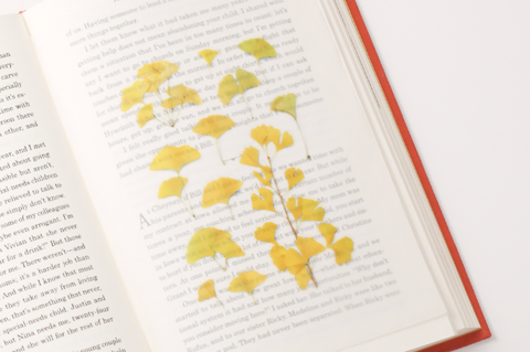 Pressed Flower Sticker [Ginkgo] | Printed Dried Flower Sticker