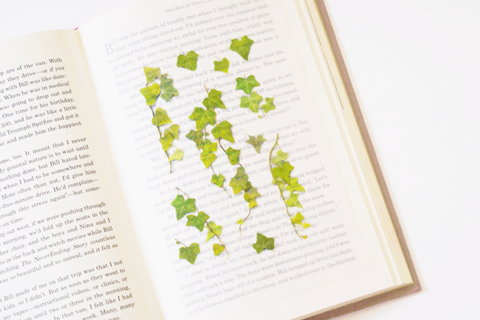 Pressed Flower Sticker [ivy] | Printed Dried Flower Sticker