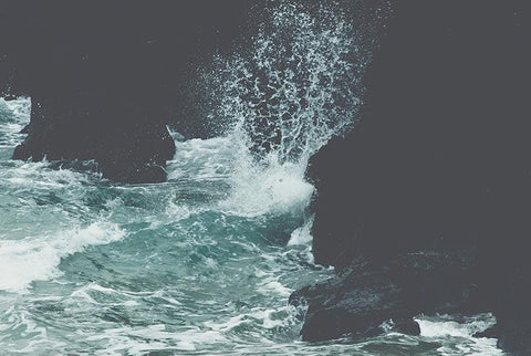 Nature Seal Sticker [Water Spray]