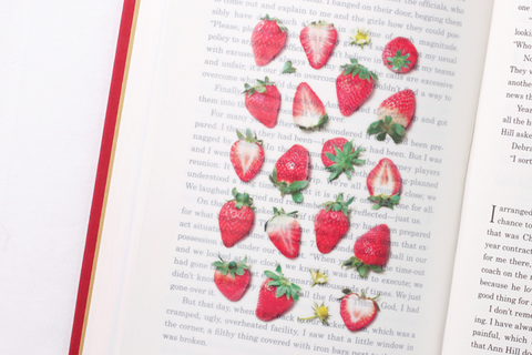 Fruit Seal Sticker [Strawberry]