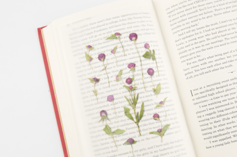 Pressed Flower Sticker [Globe Amaranth] | Printed Dried Flower Sticker