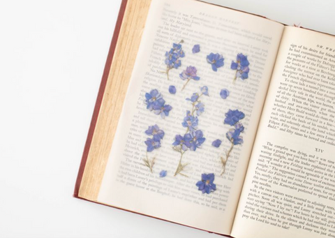 Pressed Flower Sticker [Larkspur] | Printed Dried Flower Sticker