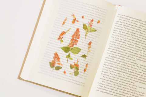 Pressed Flower Sticker [Salvia] | Printed Dried Flower Sticker