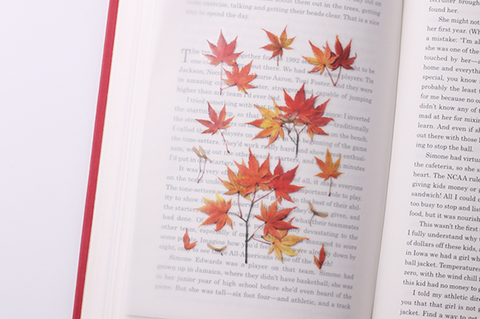 Pressed Flower Sticker [Palmate Maple] | Printed Dried Flower Sticker