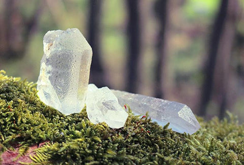 Nature Seal Sticker [Gemstone]