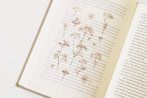 Pressed Flower Sticker [Lace Flower] | Printed Dried Flower Sticker