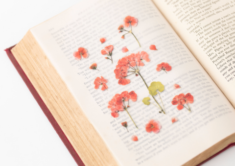 Pressed Flower Sticker [Geranium] | Printed Dried Flower Sticker