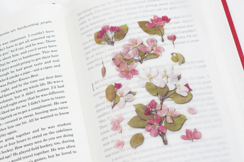 Pressed Flower Sticker [Apple Blossom] | Printed Dried Flower Sticker