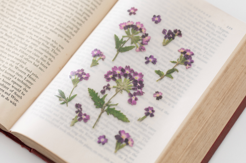 Pressed Flower Sticker [Verbena] | Printed Dried Flower Sticker