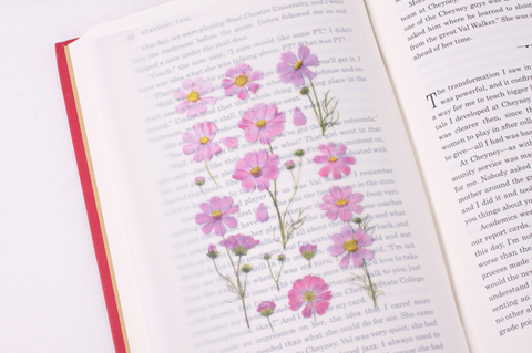 Pressed Flower Sticker [Cosmos] | Printed Dried Flower Sticker