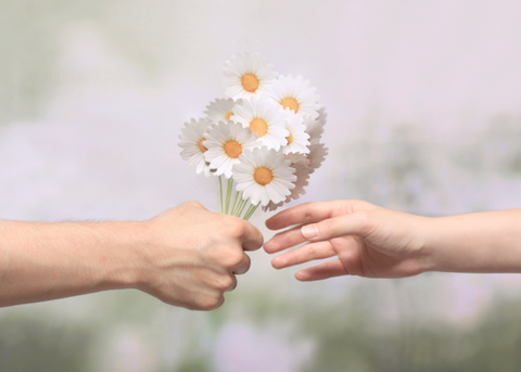 Daisy Sticky Notes S [2colors]