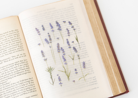 Pressed Flower Sticker [Lavender] | Printed Dried Flower Sticker