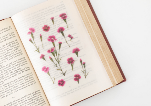 Pressed Flower Sticker [China Pink] | Printed Dried Flower Sticker