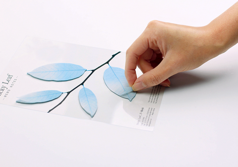 Birch Leaf Tracing Sticky Notes S [2colors]